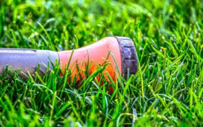 Drip Irrigation Solutions For Gardens » The Great Basin’s Thirsty…