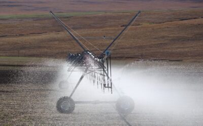 Drip Irrigation Solutions For Gardens / The Great Basin: Where…