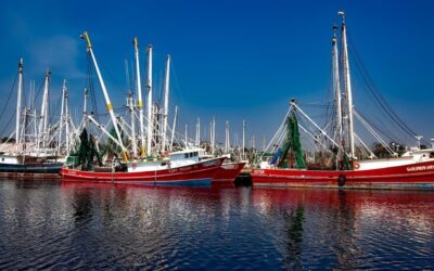 Economic Consequences For Industries Like Recreation, Mining, And Brine Shrimp…