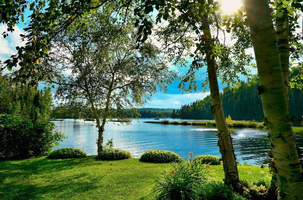 Effects On Local Wildlife And Ecosystems | The Great Salt…