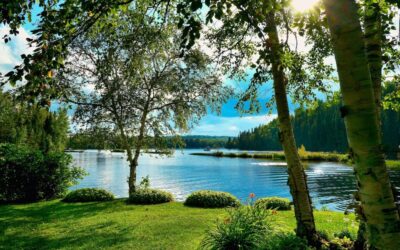 Effects On Local Wildlife And Ecosystems | The Great Salt…