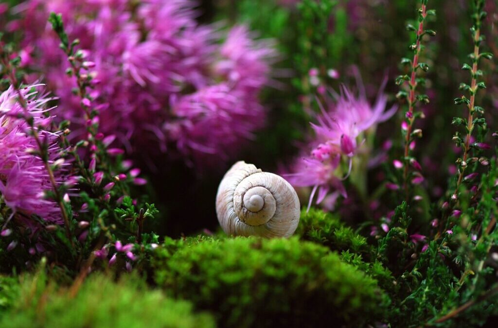 Effects On Local Wildlife And Ecosystems » The Great Salt…