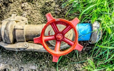 Efficient Water Cycle Management Techniques: The Great Basin: A Land…