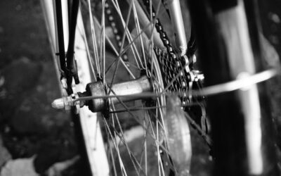 Efficient Water Cycle Reclamation » The Laguna Salada: A Desert…