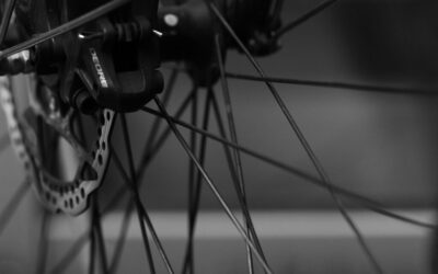 Efficient Water Cycle Reclamation – The Laguna Salada: A Lifeline…