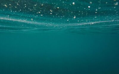 Efficient Water Cycle Reclamation – The Amazing Water Journey Of…