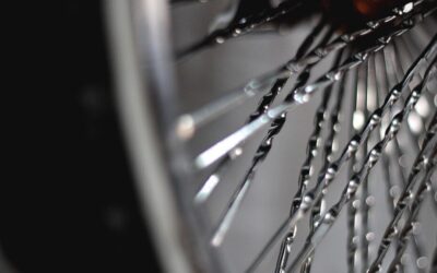 Efficient Water Cycle Reclamation ~ Laguna Salada: A Desert Oasis…