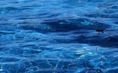 Enhancing The Natural Water Cycle: The Great Basin: A Thirsty…