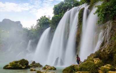 Examples Of Successful Water Management Projects In Similar Environments /…