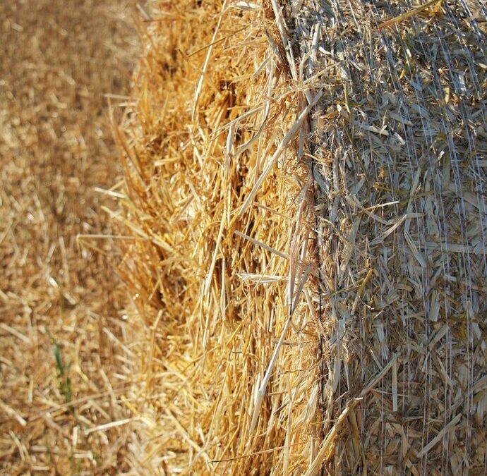 “Great Basin Agricultural Water Use” | The Great Basin: A…