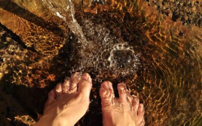 “Great Basin Water Conservation Methods” / The Great Basin: A…