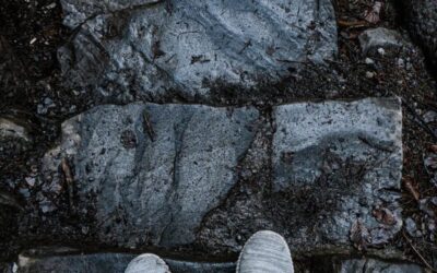 “Great Basin Water Cycle Explanation” » The Great Basin: A…