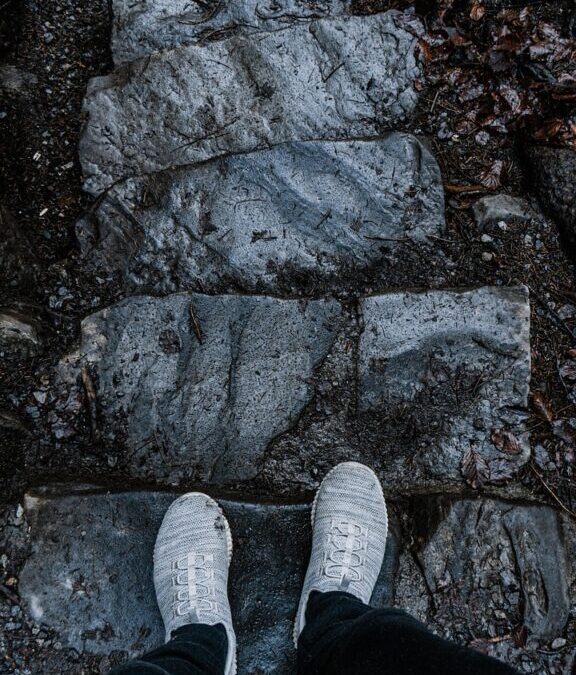 “Great Basin Water Cycle Explanation” » The Great Basin: A…