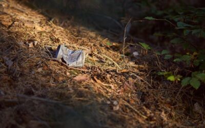 Great Salt Lake – Water Cycle Solutions » The Great…