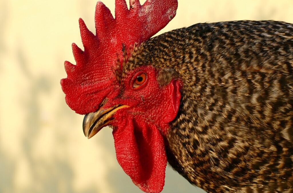 Great Salt Lake – Water Cycle Solutions / The Great…