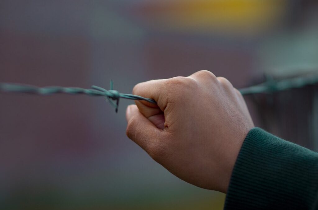 Great Salt Lake – Water Cycle Solutions – The Great…