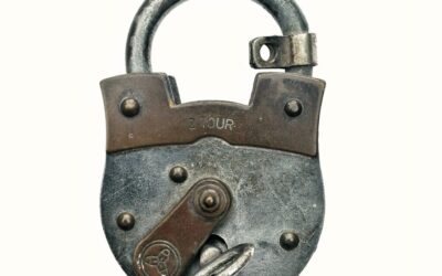 “Great Salt Lake Drought Effects” – The Great Salt Lake:…