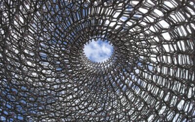 “Great Salt Lake Environmental Impact” – The Great Salt Lake:…