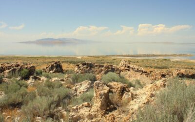 “Great Salt Lake Sustainable Agriculture” » The Great Salt Lake:…
