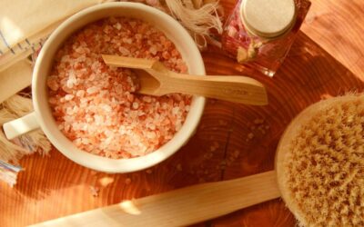 “Great Salt Lake Wildlife Conservation”: The Great Salt Lake: A…