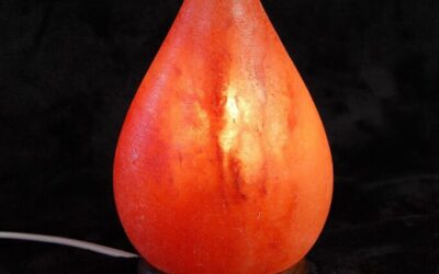 Great Salt Lake: Dive Into The Great Salt Lake: Water,…