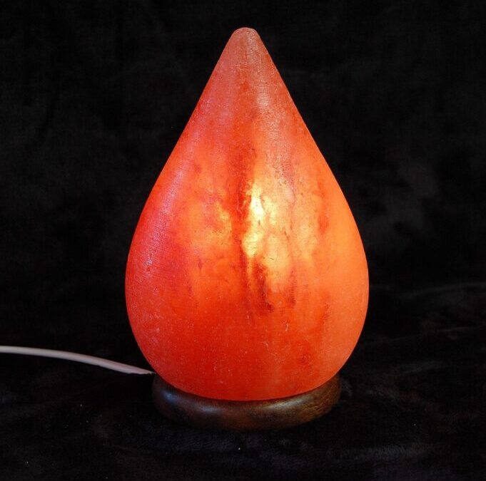 Great Salt Lake: Dive Into The Great Salt Lake: Water,…