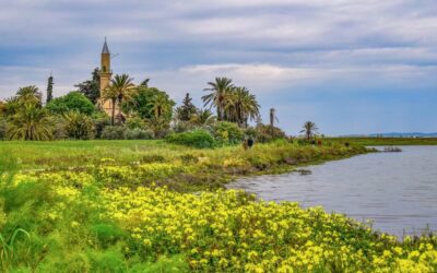 Great Salt Lake, ~ Utah’s Shrinking Treasure: The Great Salt…