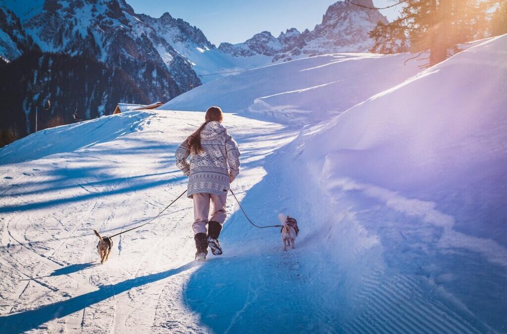 Historical Context And Human Activities Contributing To The Decline: The…