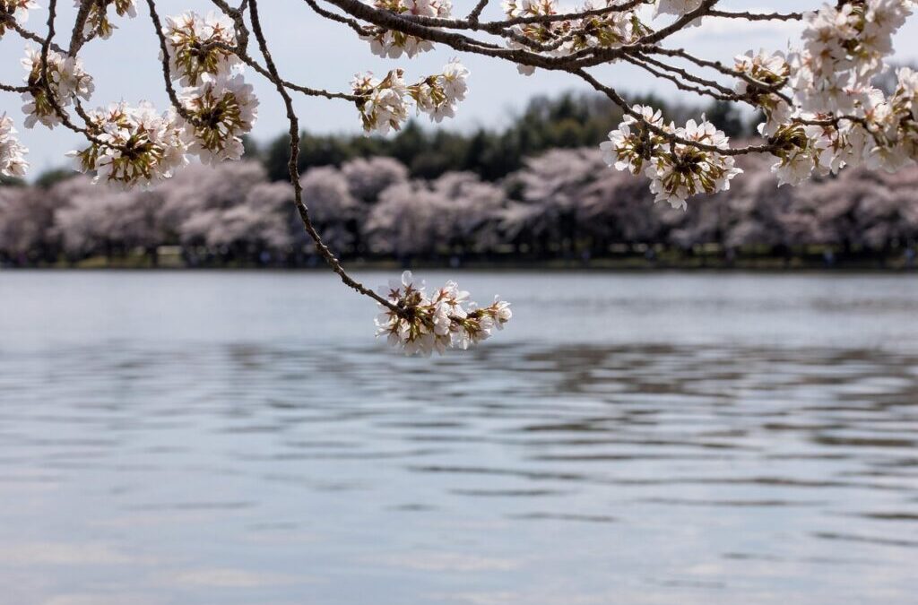 How Laguna Salada Affects The Great Basin Water Cycle |…