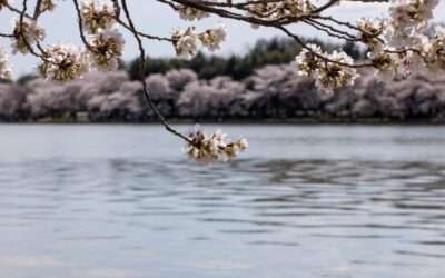 How Laguna Salada Affects The Great Basin Water Cycle |…