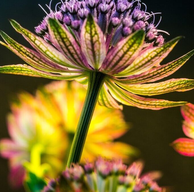 Hydrology Of The Great Basin Watershed / The Great Basin’s…
