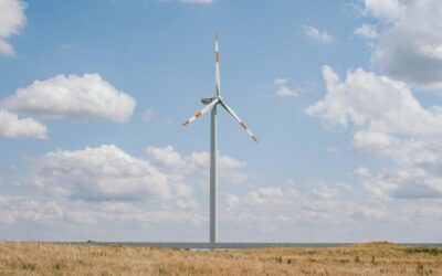 Impact Of Climate Change On Laguna Salada | A Desert’s…