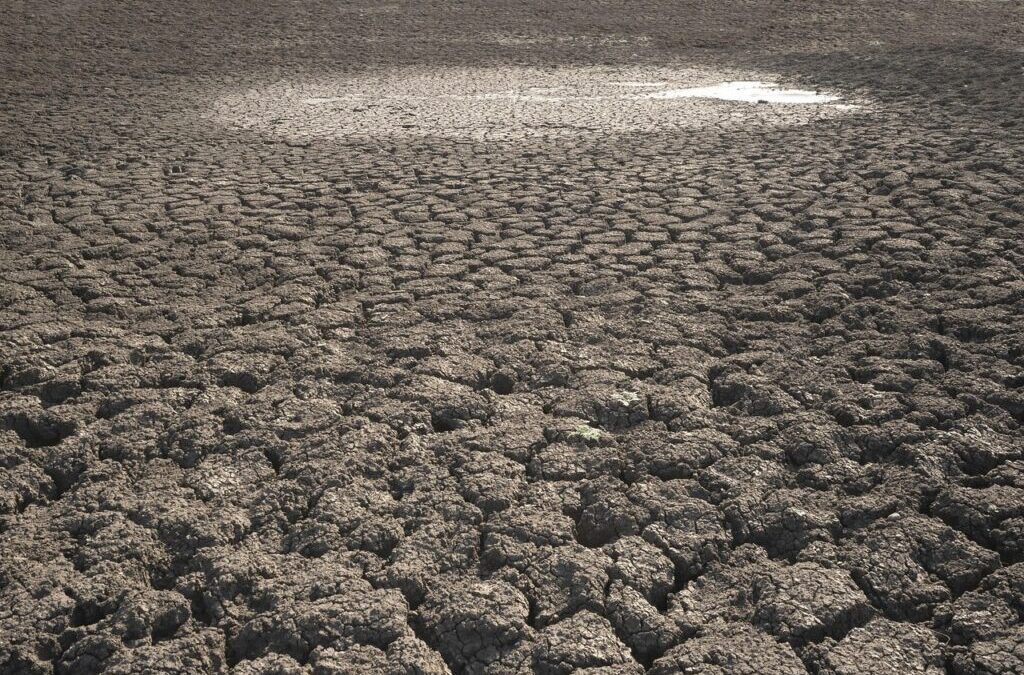 Innovative Solutions To Stop Lake Drought – Nevada’s Lakes In…