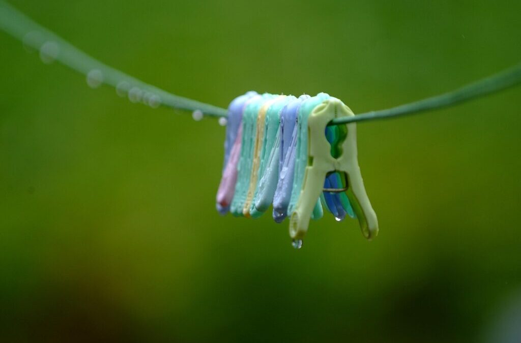 Introduction: The Great Salt Lake: A Watery Story Of Life,…