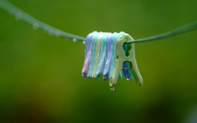 Introduction: The Great Salt Lake: A Watery Story Of Life,…