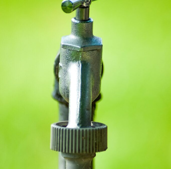 Irrigation Water Solutions: The Great Basin’s Thirsty Story: Understanding Water…