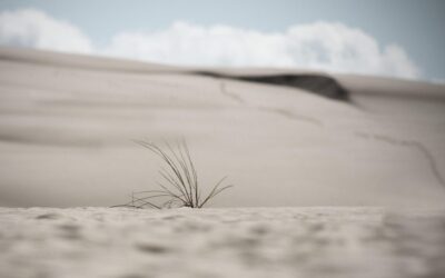 Lake Drought Prevention Methods / Saving Our Lakes: Can We…