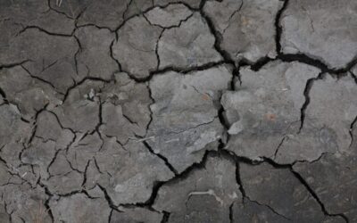 Lake Drought Repair Initiatives | Montana’s Lakes: Facing A Thirsty…