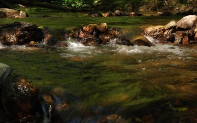 Long-term Water Shortage Management: The Great Basin’s Thirsty Story: Water,…