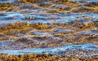 Long-term Water Shortage Management – The Great Basin: A Land…