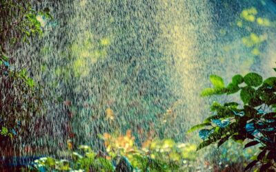 Move Water For Irrigation Systems / Can We Stop A…