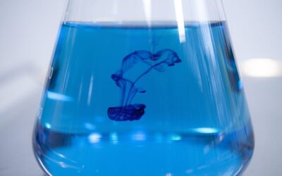 Proposed Solutions / The Great Salt Lake: A Thirsty Story…