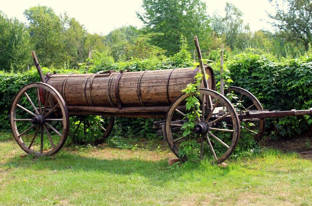 Related Keywords ~ A Desert Oasis In Peril: The Laguna…