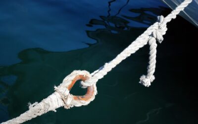 Related Keywords – The Amazing Journey Of Water: A Story…