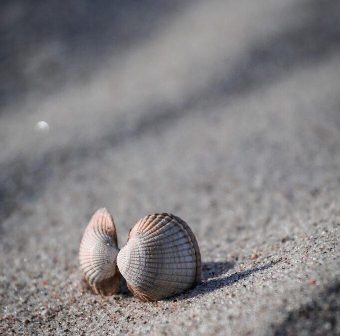 Salton Sea Hydrology / The Salton Sea: A Story Of…