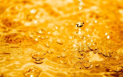 Sheikh Al-Islam: A High-ranking Religious Leader In Some Countries. »…