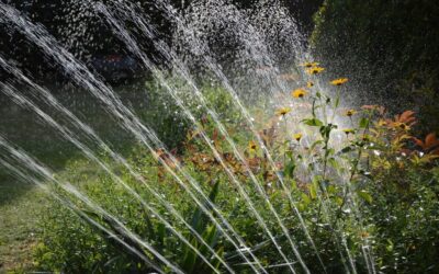 Smart Irrigation Technology For Agriculture ~ 💦💧 The Great Basin:…