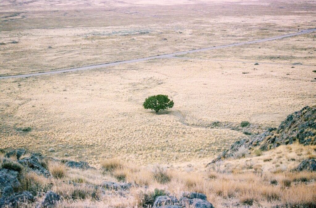 Stop Lake Drought With Conservation – Saving Our Lakes: How…