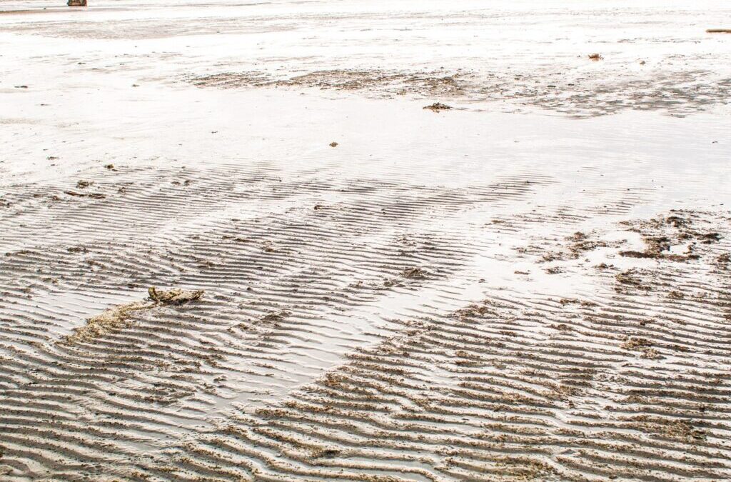 Strategies To Raise Great Salt Lake Water Levels ~ Saving…