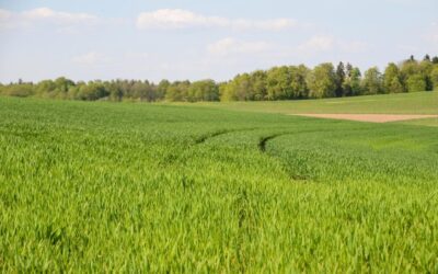 Sustainable Agriculture Practices – The Great Salt Lake: A Thirsty…